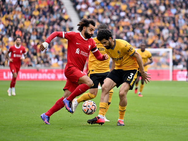 林狼在寻求 林狼在寻求